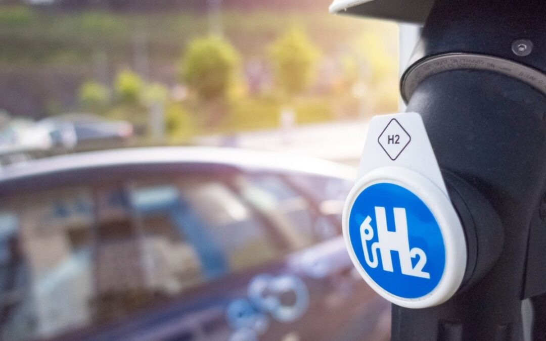 Zielony wodór w Zjednoczonych Emiratach Arabskich