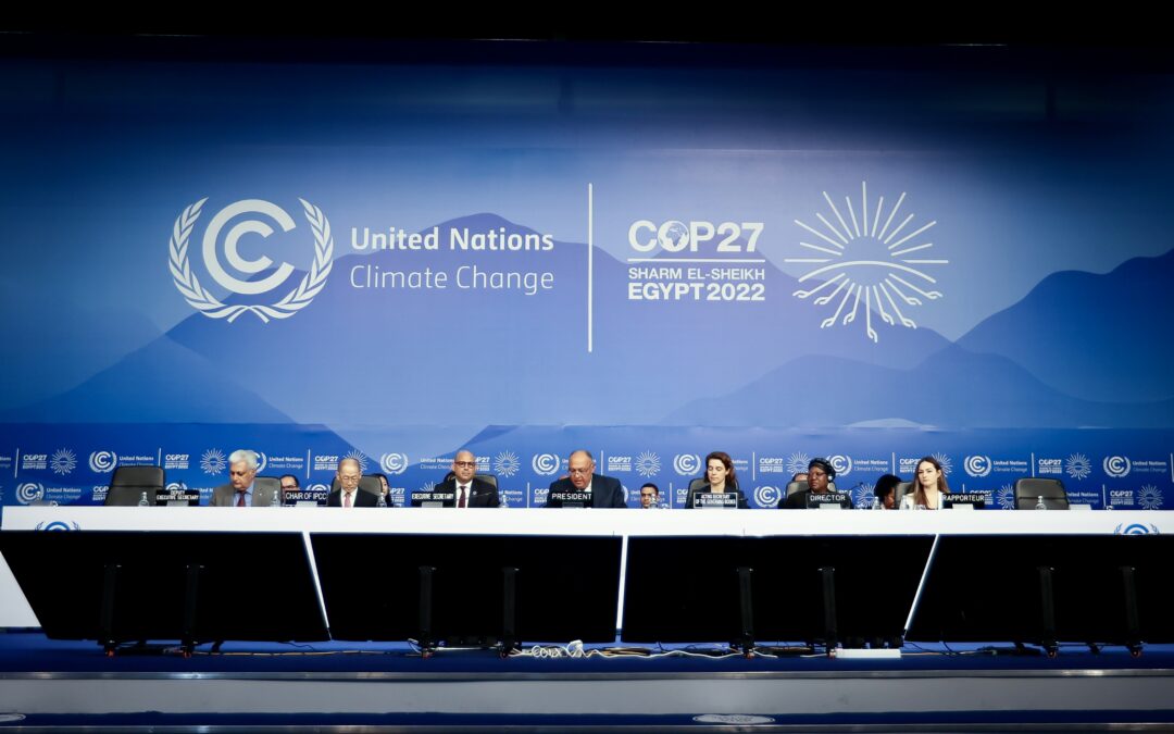 Szczyt COP27 – zderzenie bogatej Północy i biednego Południa